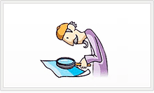 자문(문화, 역사, 생물, 예술 등)